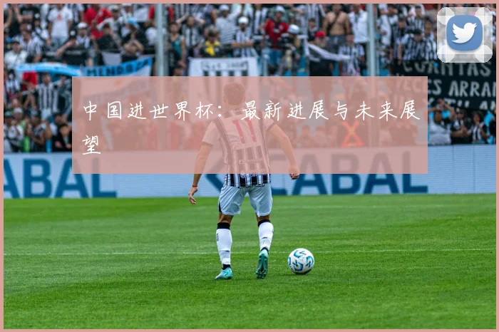 中国进世界杯：最新进展与未来展望