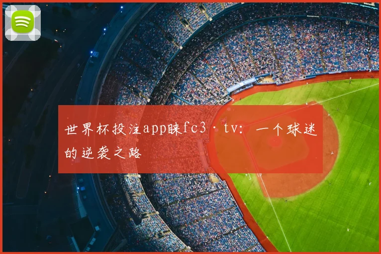 世界杯投注app睐fc3·tv:一个球迷的逆袭之路
