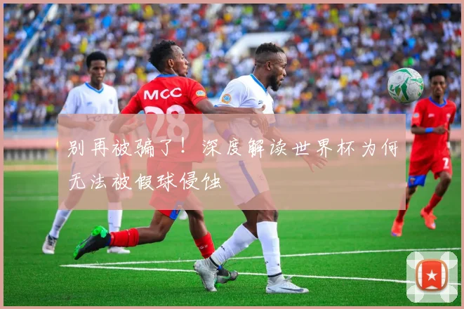 别再被骗了！深度解读世界杯为何无法被假球侵蚀