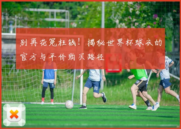 别再花冤枉钱！揭秘世界杯球衣的官方与平价购买路径