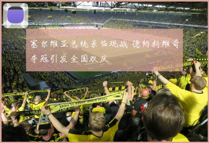 塞尔维亚总统亲临观战 德约科维奇夺冠引发全国欢庆