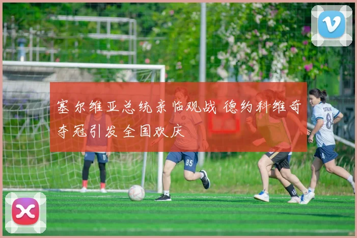 塞尔维亚总统亲临观战 德约科维奇夺冠引发全国欢庆