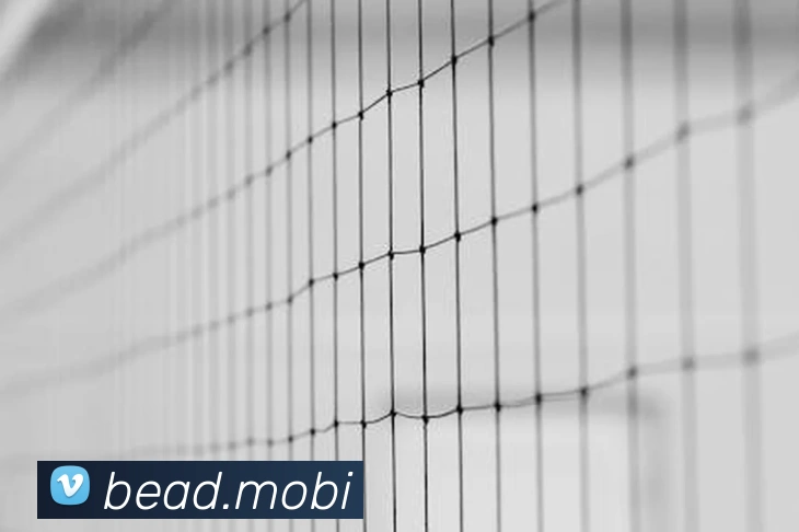 开云手机入口登录官网发展历程